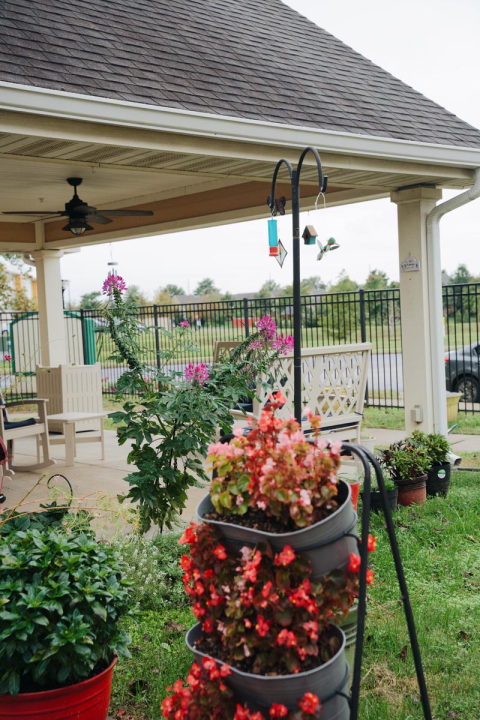 back porch at poplar grove